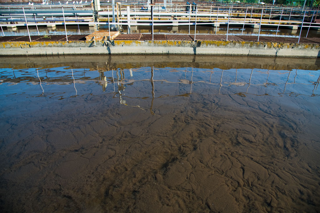 Aeration pool at a municipal wastewater treatment plant