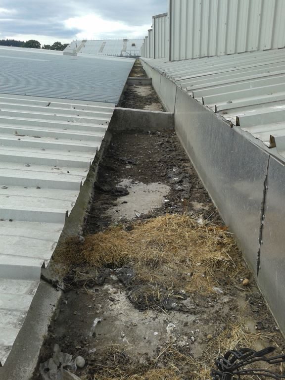 Long valley gutter blocked with organic debris on a factory roof