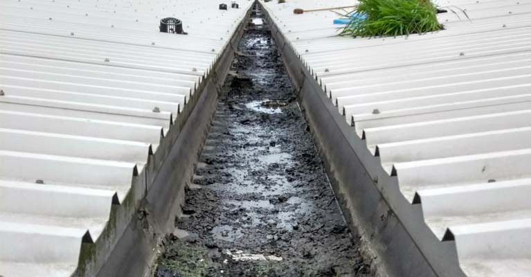 Valley gutter packed with leaves and sludge restricting water flow