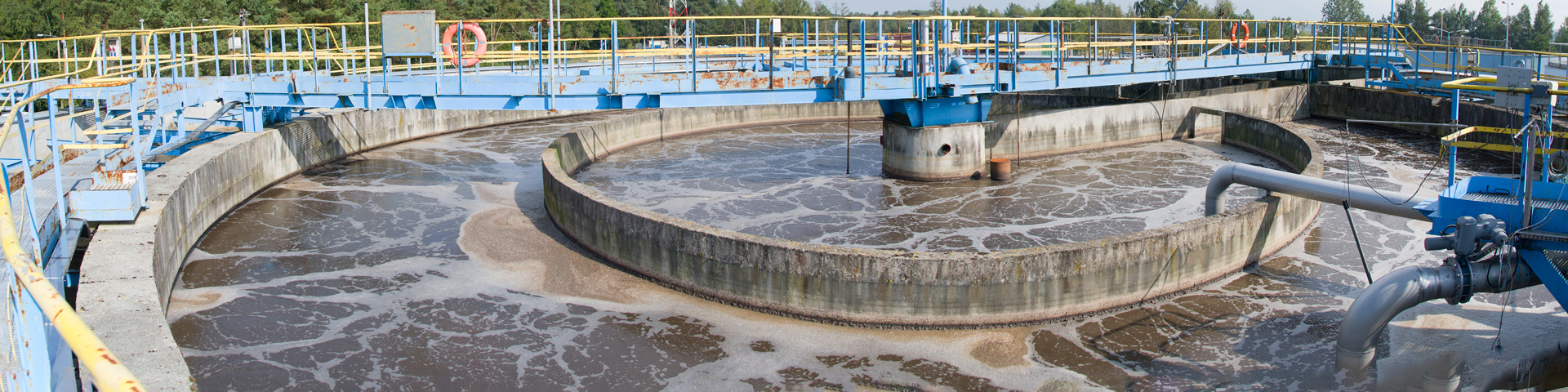 Circular wastewater treatment clarifier with surface sludge